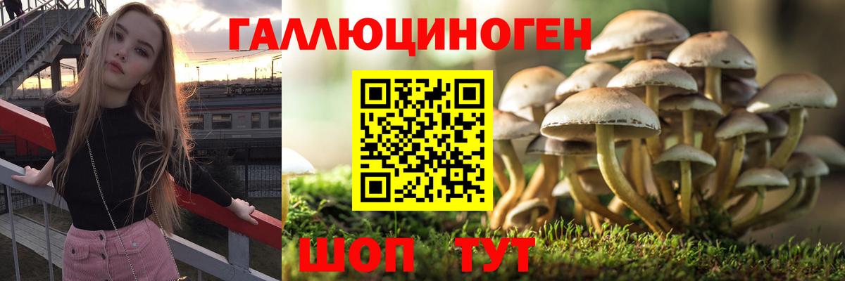 Галлюциногенные грибы Psilocybine cubensis Ирбит